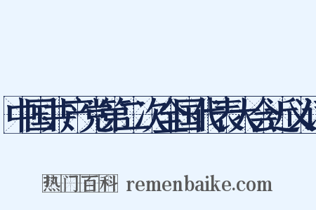 中国共产党第二次全国代表大会近义词是什么意思的图片